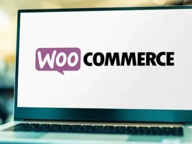 Is WooCommerce a Good Ecommerce Platform