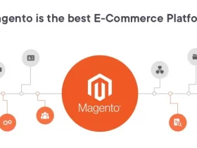 What Is Magento eCommerce
