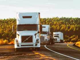Mental Health Issues Affecting Long Distance Drivers: What Logistics Companies Must Do