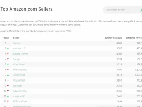 Amazon seller search