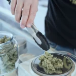 How to Start a Business in the Cannabis Industry: 6 Facts to Know